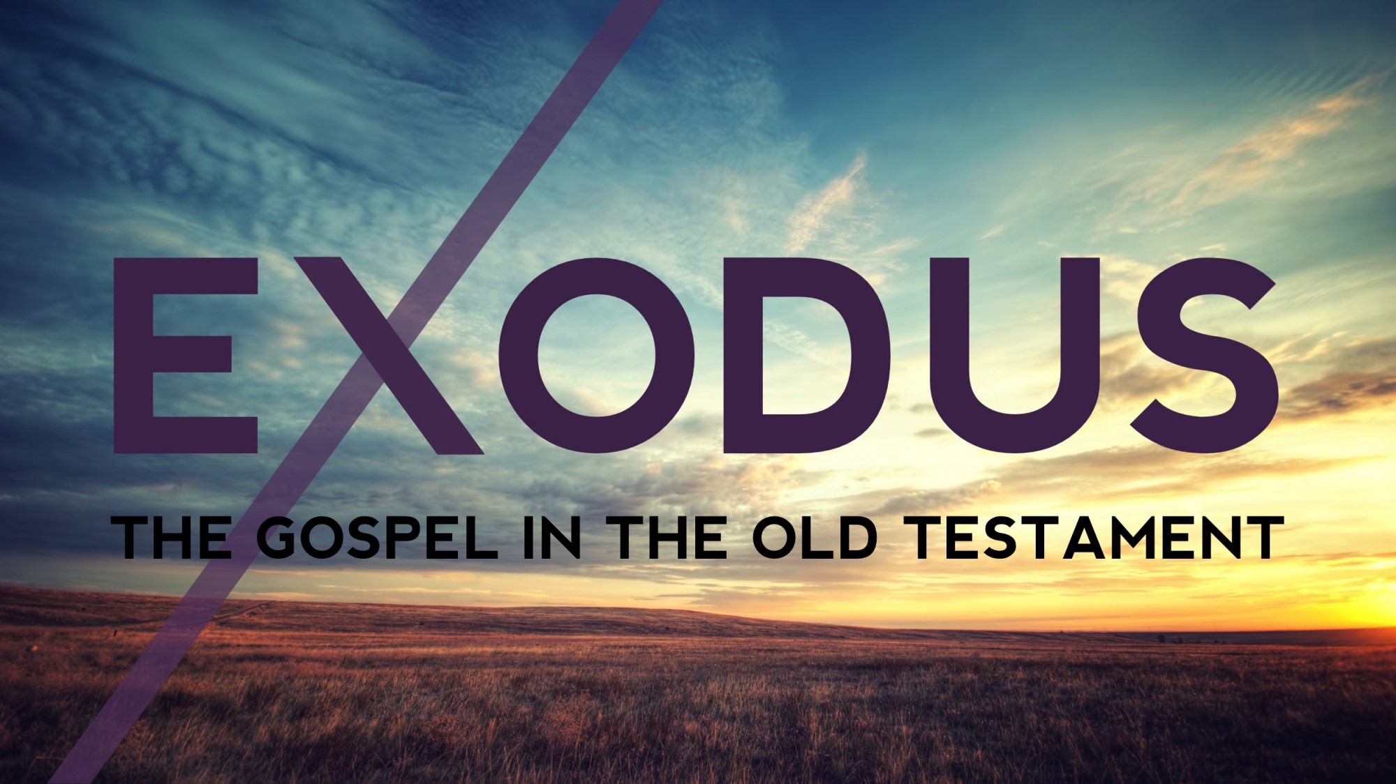 The Gospel in the Old Testament: God is With Us